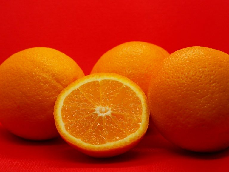 Vicente Todolí Opens His Citrus Sanctuary: “Agriculture Teaches You Time; Art Moves Too Fast”
